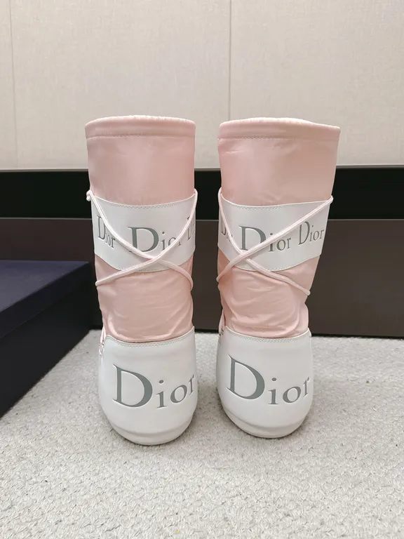 Dior Shoe 